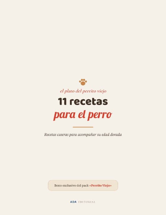El plato del perrito viejo — mini recetario